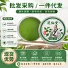 Bálsamo de Artemisa, Ungüento de Menta y Hierba Morada, Aceite Refrescante, Ungüento de Aceite Esencial de Artemisa para el Hogar de Niños, Ungüento de Hoja de Artemisa, Ungüento de Artemisa para Moxibustión
