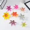 Película Flor de Magnolia Cabeza Impresa en 3D Tocado Decoración Floral Hecha a Mano Flor Artificial Recuerdo de Boda Fabricante de Bricolaje Venta al Por Mayor
