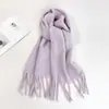 Bufanda de Color Sólido para Mujer Invierno Nuevo Bufanda de Imitación Cachemir Europea y Americana Bufanda Cálida Multicolor Transfronteriza Chal Largo Venta al por Mayor