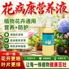 Removedor de Enfermedades de Flores, no requiere dilución, tipo spray directo, un básico para la jardinería casera, antibacteriano, universal para plantas y flores, no necesita dilución