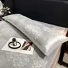 Xiang Ling Premium Classe de Luxo Leve a Classe a Jacquard Refrescante de Seda de Gelo de Molécula Média Fronha Dupla Longa Almofada Dupla 3D