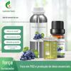 Cosméticos de Óleo de Semente de Uva Cuidados com a Pele Óleo Base Extração Prensada de Plantas Cosméticos de Beleza Matérias-Primas Atacado em Estoque