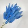 Liquidação de Fábrica Flores Secas de Yunnan Capim Rabo de Coelho Flores Reais Capim Rabo de Raposa Amazon Flores Imortais Capim Rabo de Coelho Flores Secas