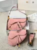 Bolso Pequeño de Moda con Correa Ancha 2025 para Mujer, Bolso de Hombro Versátil y Moderno, Bolso Cruzado Elegante de Alta Gama, Bolso de Axila