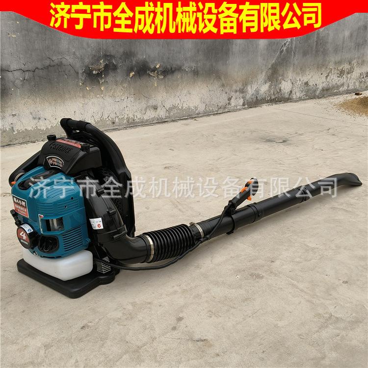 9900 (6).jpg