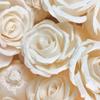 En Stock 6cm Tanique Rosa Siempreviva, Difusor de Aroma sin Llama Flor Seca, Decoración del Hogar, Arreglo Floral, Venta al por Mayor de Flores Secas