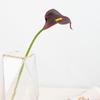 Planta de simulación Calla tacto PU flor falsa boda ramo de mano para boda decoración para sala de estar en casa flor de simulación