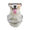 Shake Tone Animal Explosivo Máscara Esportes Ao Ar Livre Pendurado Protetor Solar Protetor de Rosto Toalha de Equitação Protetor de Pescoço de Seda de Gelo Respirável Manga de Pescoço Verão