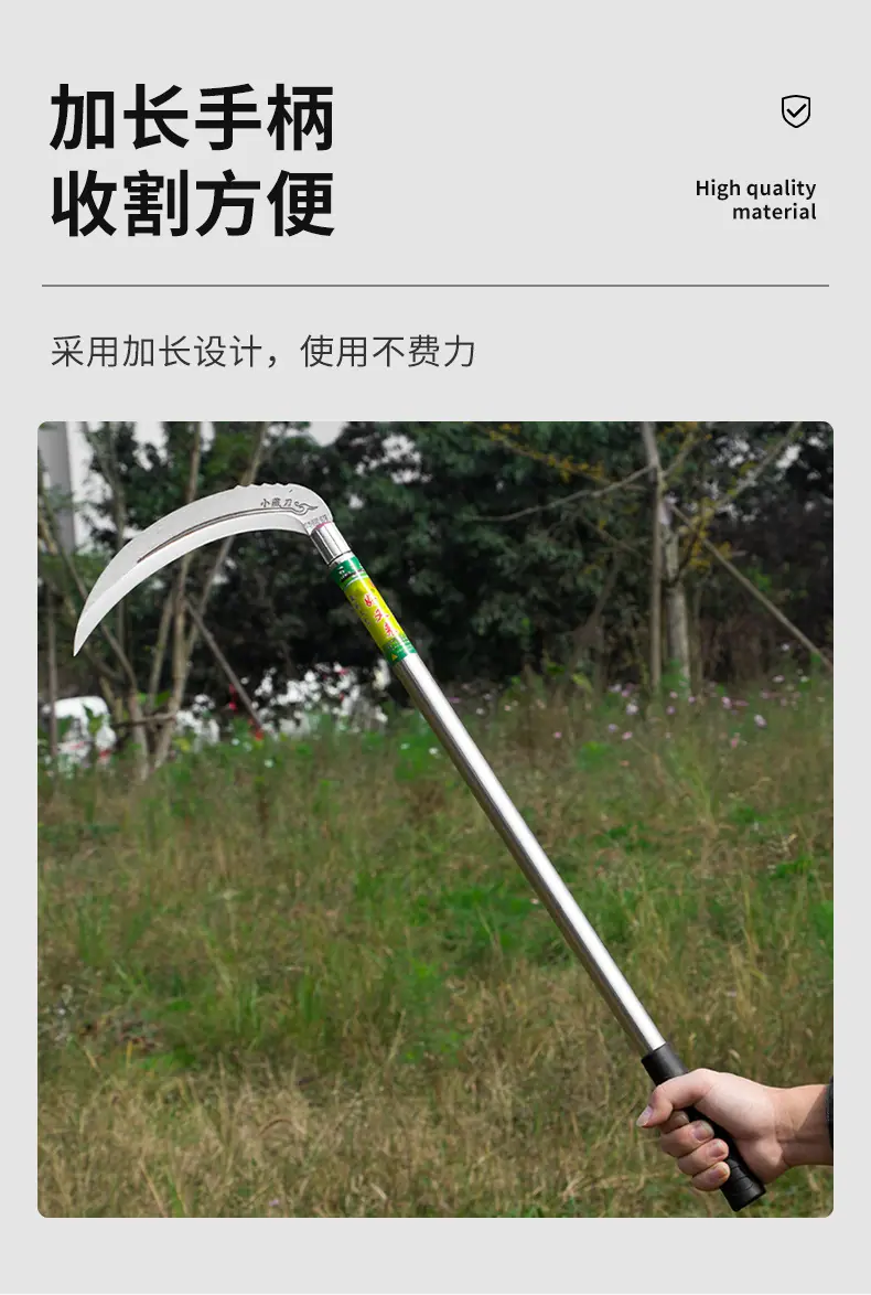 1_11.jpg