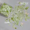 Accesorios de Joyería para Uñas Shell Celebridad de Internet Explosiones Color Caramelo Lámina de Mica Color Mágico Irregular Fragmentos de Concha Ultradelgados
