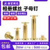 Tornillos para Álbumes de Acero al Carbono, Sujetadores para Cartas, Tornillos Combinados Chapados en Cobre, Tornillos de Bloqueo, Libros de Menús, Clips de Encuadernación para Álbumes