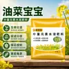 Este fertilizante foliar está diseñado específicamente para plantas de colza, ayudando a aumentar el rendimiento de aceite, promover la floración y la polinización, y asegurar un desarrollo completo y saludable de las semillas.. Es un fertilizante de uso general adecuado para diversas variedades de colza