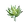 Ventas Directas de Fábrica Creativas Suculentas Simuladas Individuales Flores Falsas Accesorios para Paredes de Plantas DIY Decoración del Hogar Plantas Verdes