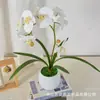 Película de Textura Impresa en 3D Simulación Flor Phalaenopsis Planta en Maceta Lujo Ligero Decoración de Sala de Estar de Casa de Gama Alta Adorno de Flor Artificial