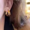 Pendientes de Resina Color Café Maillard Otoño e Invierno para Mujer, Moda de Lujo Ligero, Sensación de Alta Gama, Pendientes Versátiles y Elegantes, Diseño de Nicho
