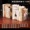 Exhibidor de libros falsos, estilo minimalista nórdico, decoración para sala de estar y estudio, estantería de estilo chino nuevo, accesorios de libros falsos