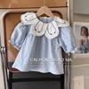 Camisa de Cuadros Estilo Fresco para Niñas Tongxingyuan 2026 Nuevo Moda de Principios de Otoño Elegante Camiseta Top Atuendo de Primavera y Otoño