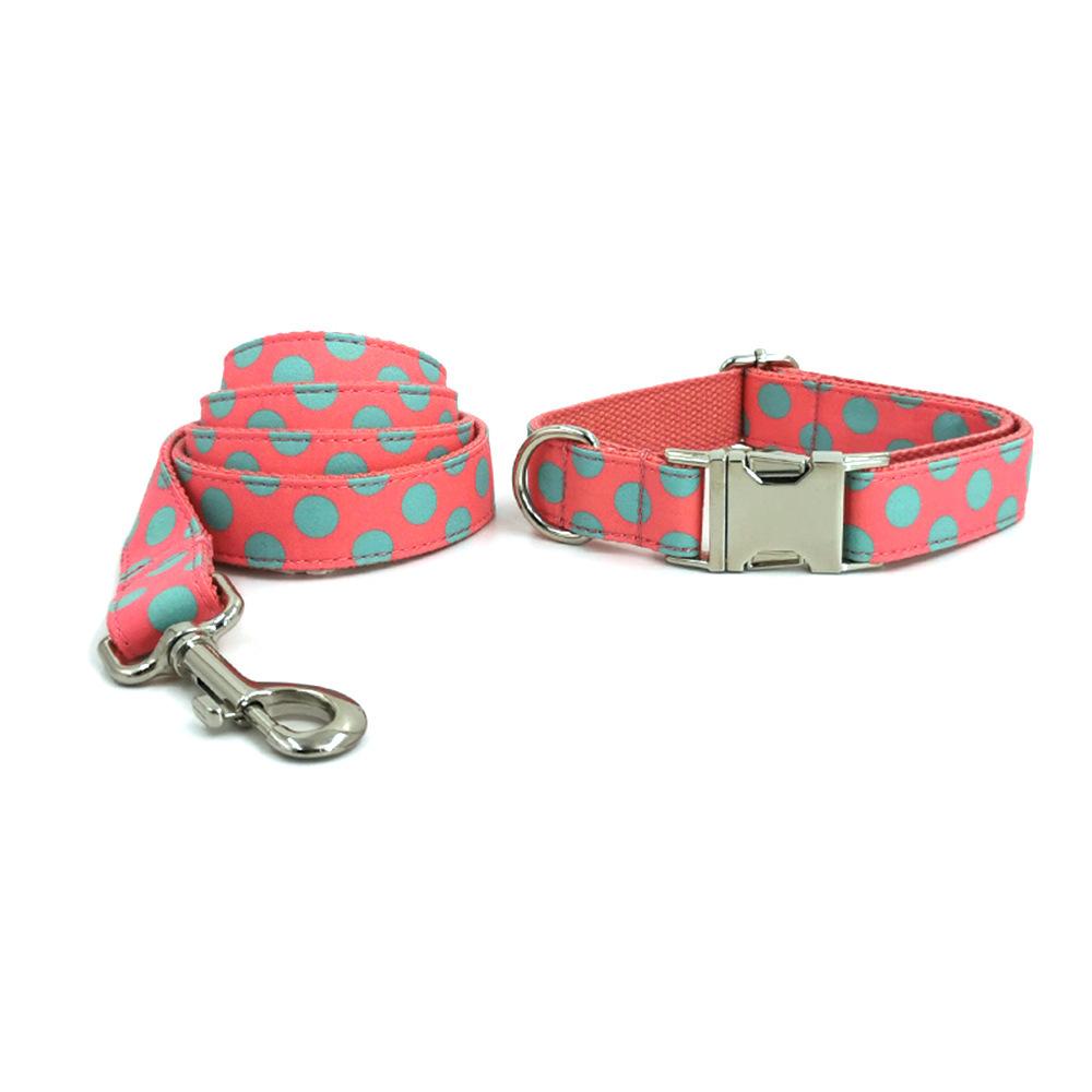 dog collar (32)