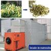 Equipamento de Secagem Chengjinlai Secador Tipo Caixa para Gastrodia Elata e Codonopsis Pilosula Forno Secador para Crisântemo Dourado e Madressilva