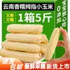 Maíz Dedo Xishuangbanna Yunnan Desayuno Instantáneo Sustituto de Comida Maíz Dedo Mini Fresco Dulce Fragante Dai