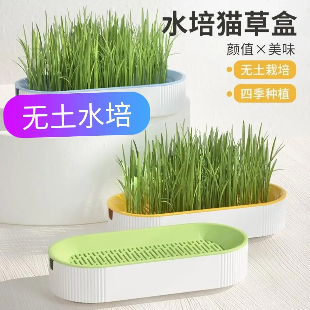 大泽设计_20230713000344_1_proc