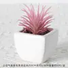 Suculentas Simuladas Personalizadas Cerámica Bonsái Plantas Verdes Escandinavas Adornos Hogar Interior Sala de Estar Flores Falsas Suculentas Plantas en Maceta
