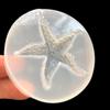 Molde de silicone para desmoldagem de estrela-do-mar de cristal espelhado epóxi feito à mão material diy molde de silicone em estoque