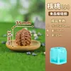 Molde de Avellana Helado Mousse 3D Mini Grado Alimenticio Nueces Pecana Cacahuete Chocolate Mayoreo