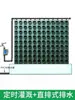 Sistema de riego para pared vegetal de jardinería vertical Juego de riego por goteo Bomba Temporizador Gotero Codo Tapón