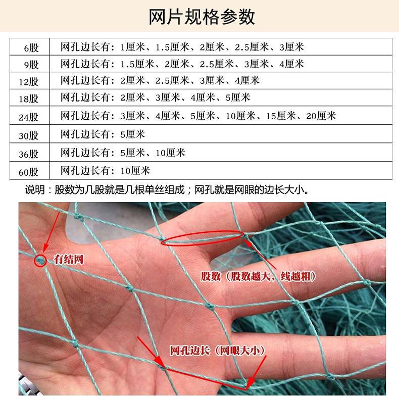详情 (11).jpg