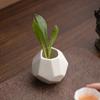 Florero Cubo de Ceniza de Paja Hogar Cerámica Blanca Jarrón Pequeño Decoración Decorativa Simple con Forma Hidropónico