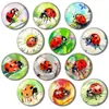 Imanes de Refrigerador de Vidrio Personalizados al por Mayor por Fabricante, Imanes de Mariquita Animal Pintura al Óleo, Imanes Souvenir Culturales y Creativos de Venta Caliente Transfronteriza