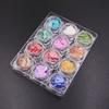 Nuevas uñas ultrafinas japonesas de 12 colores, conchas finas de abulón, fragmentos coloridos, parches decorativos para uñas, venta al por mayor