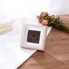 Especímenes de Mariposas Reales Raros y Preciosos (Mariposa Pavo Real) en un Marco, Decoración Moderna de Madera para el Hogar, Decoración Creativa de Mesa