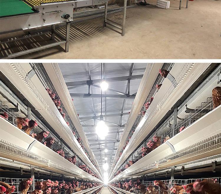 u=2816657371,1956130068&fm