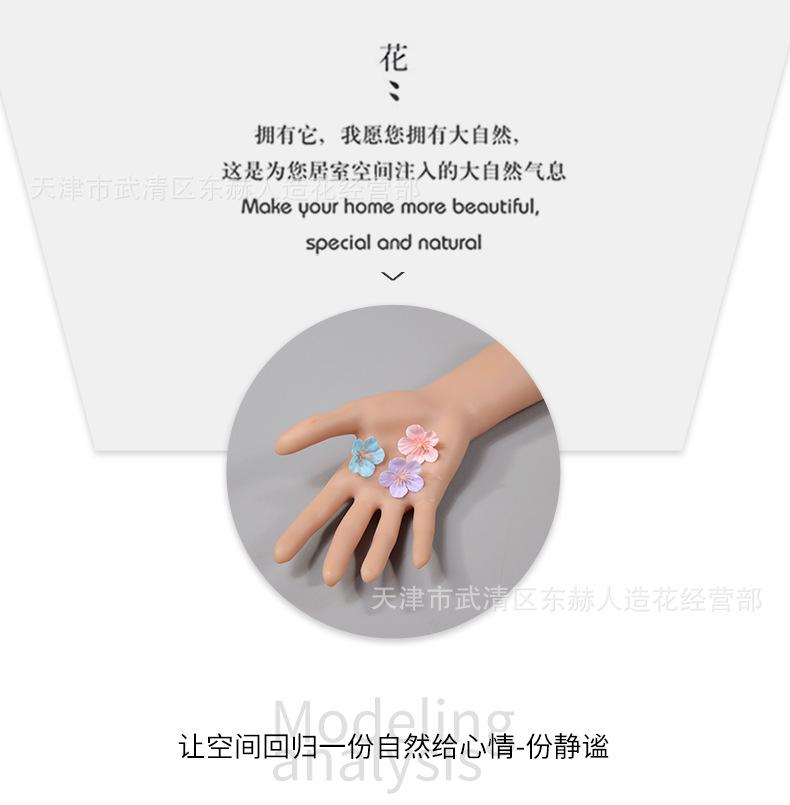 详情_05.png