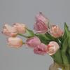Tulipán de una rama con tacto real, pegado, adornos de escritorio, accesorios de fotografía, flores artificiales, venta al por mayor transfronteriza, flores falsas, hidratante