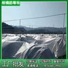 Tela No Tejida para Protección de Cítricos Contra el Frío en la Región de Sichuan, Uso Agrícola y de Paisajismo, Protección contra Heladas, Conservación del Calor, Polipropileno PP Impermeable