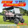 Carrito de Golf Eléctrico de Cuatro Ruedas Vehículo de Recepción para Vista Panorámica en Parques de Áreas Escénicas Transporte Hotel Aeropuerto Carrito de Golf