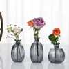Estilo Escandinavo Creativo Jarrón de Vidrio Hogar Sala de Estar Mesa de Café Adornos Decorativos Arreglo Floral Jarrón Seco Botella de Vidrio Colorida