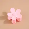 Amazon Petal Juego de Pinzas Pequeñas de Flor Colorida para Peinados Semirecogidos, Pinza de Tiburón Dulce para Moño en la Parte Trasera de la Cabeza Accesorio para el Cabello Transfronterizo