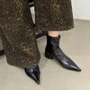 Botines de Punta Aguda para Mujer 2026 Otoño e Invierno Nuevo Estilo Botines de Tacón Grueso para Mujer Botines Delgados de Nicho Botas de Tacón Alto Botas Martin