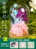 Decoração de Ornamentos de Cúpula de Vidro com Flores Preservadas Pacote de Material DIY de Flores Secas Presente de Construção de Equipe Artesanal para Crianças Outros