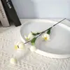 Fruta de Papoula Simulada Junco Bola de Espuma Galhos Buquê Mobília Doméstica Interna Estilo Pastoral Simulado Flores Artificiais