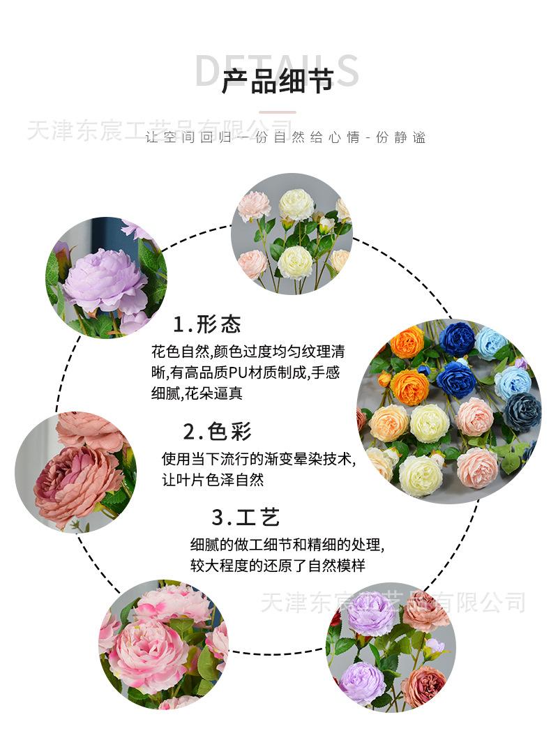 详情_08