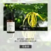 Fabricante de Fuente de Aromaterapia Aceite Esencial de Aromaterapia Soluble en Agua 10 ml Fragancia Vegetal L Difusor Ambientador Máquina de Aromaterapia Aceite Esencial