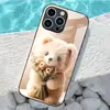 Aplicable a Funda de Vidrio Templado para Apple 18PRO 17PROMAX Funda Protectora de Muñeco de Peluche iPhone16 Conejo de Peluche 17E