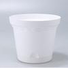 Shenglda Vaso de Flores Nórdico Redondo Preguiçoso Plástico Espessado Alice Verde Flor Vaso de Flores Nórdico Atacado Transfronteiriço