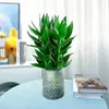 Plantas Hidropônicas de Bambu que Aumentam a Fortuna, Plantas Verdes Fáceis de Cuidar para a Sala de Estar, Flores que Atraem Dinheiro, Plantas de Rabanete Verde, Flores de Interior em Vasos