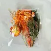 Kit de Materiales de Flores Secas DIY Flor Eterna, Flores Flotantes Perfumadas, Materiales de Flores para Actividad Padres e Hijos, Venta al por Mayor Fabricante de Yunnan, Día de la Madre